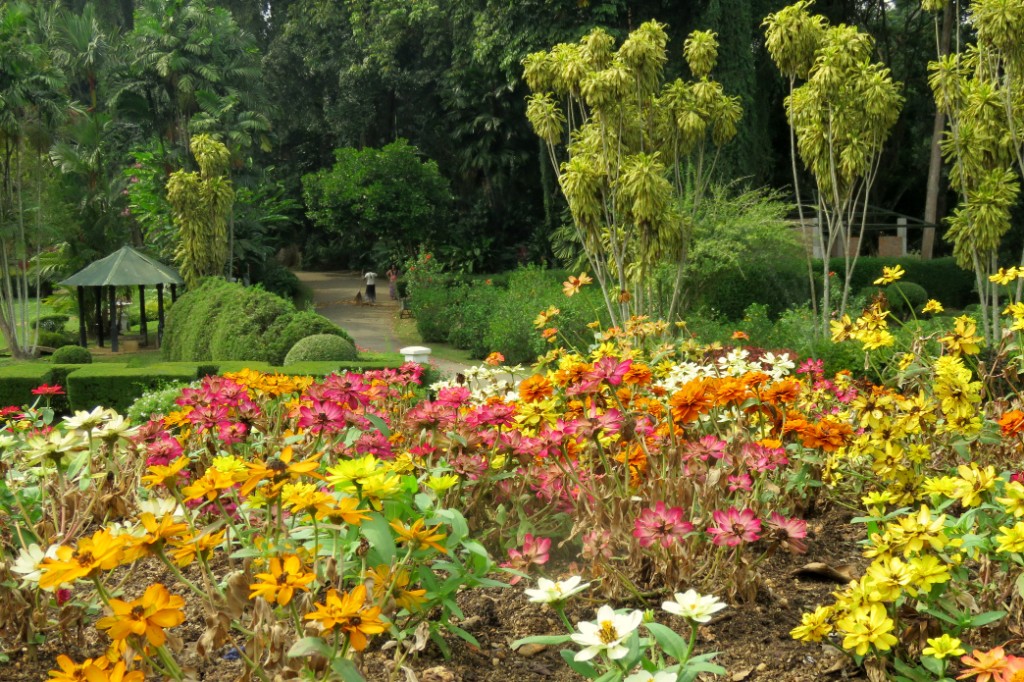 botanická zahrada v Kandy